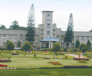 KVAFSU University IQAS
