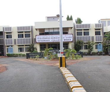 KVAFSU University ICES