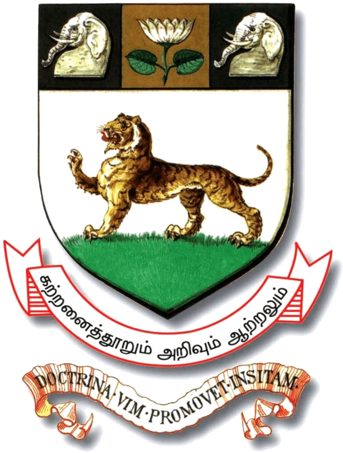 Madras University for ICES